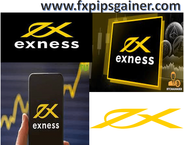Exness Forex Broker A Comprehensive Guide to Trading Success